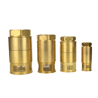 Foot Valve ZCFV-01